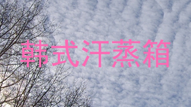 韩式汗蒸箱
