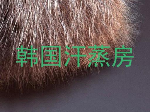 韩国汗蒸房