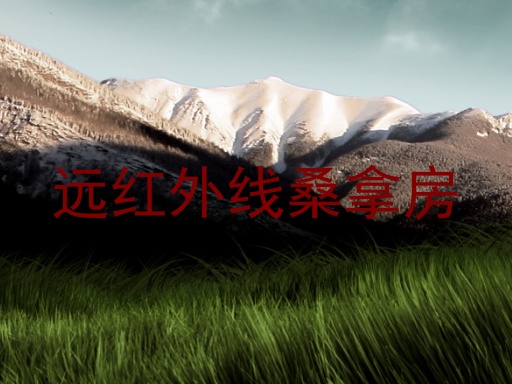 远红外线桑拿房