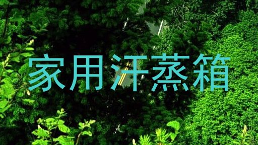 家用汗蒸箱