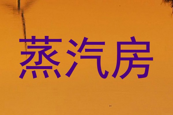 蒸汽房