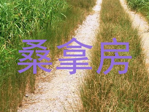 桑拿房