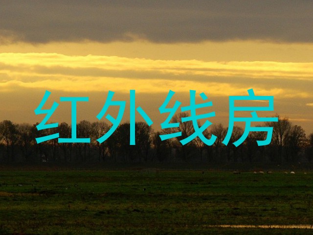 红外线房