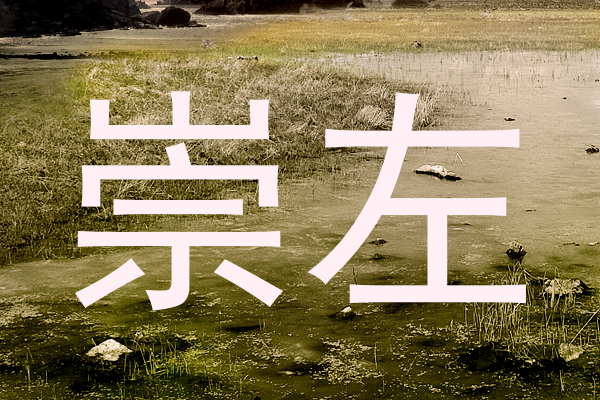 崇左
