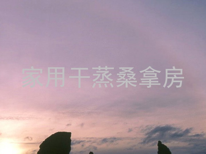 家用干蒸桑拿房