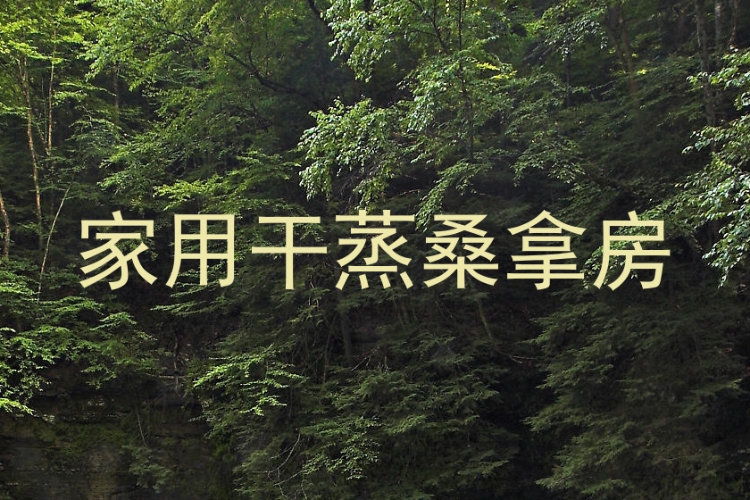 家用干蒸桑拿房