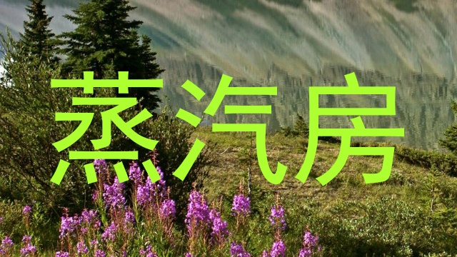 蒸汽房