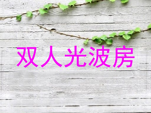 双人光波房