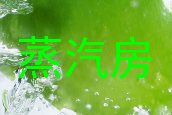 蒸汽房
