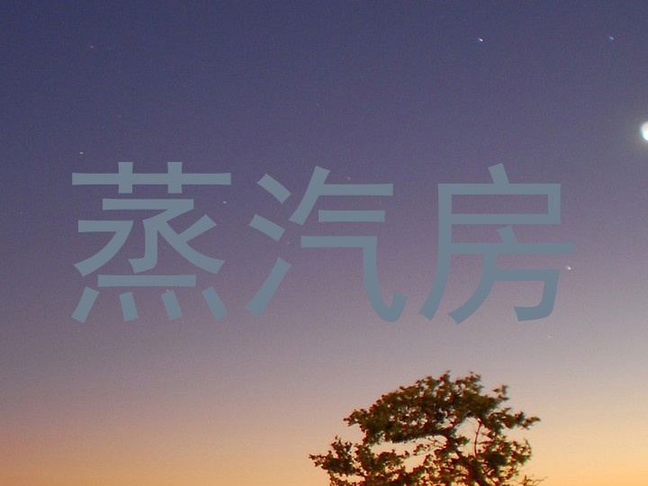 蒸汽房