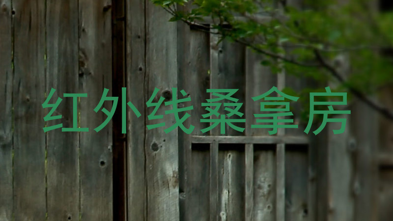 红外线桑拿房