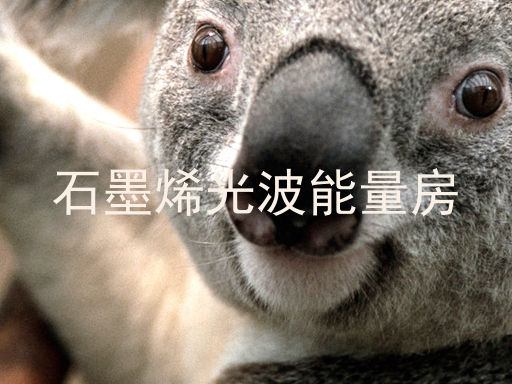 石墨烯光波能量房