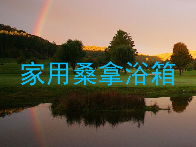 家用桑拿浴箱