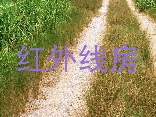 红外线房