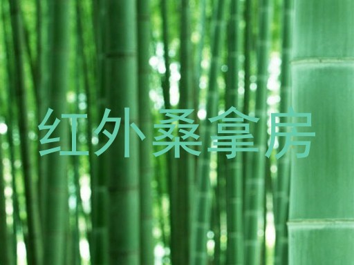 红外桑拿房