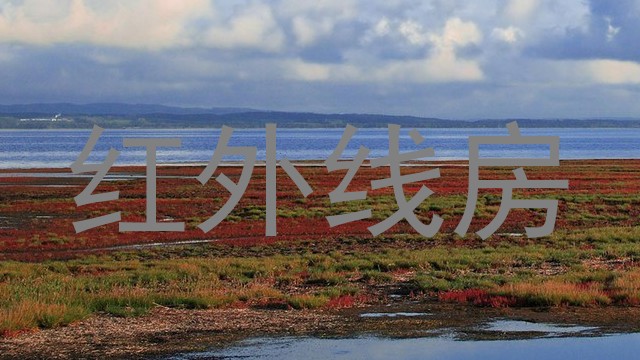 红外线房