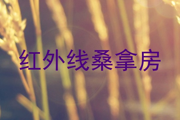 红外线桑拿房