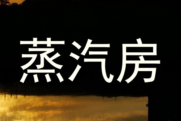 蒸汽房