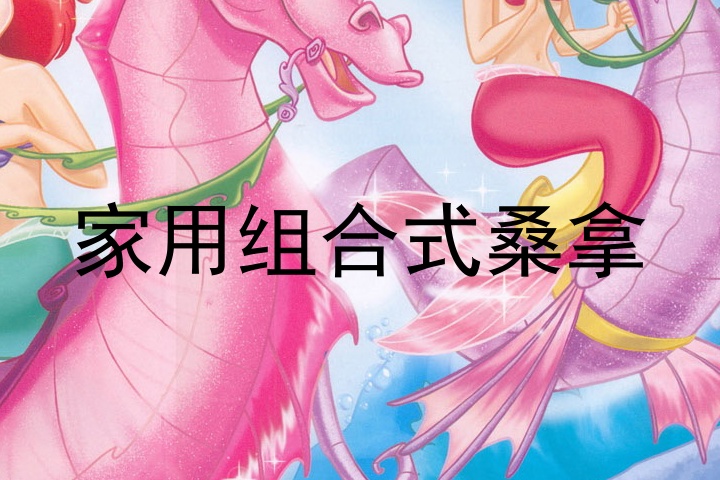 家用组合式桑拿