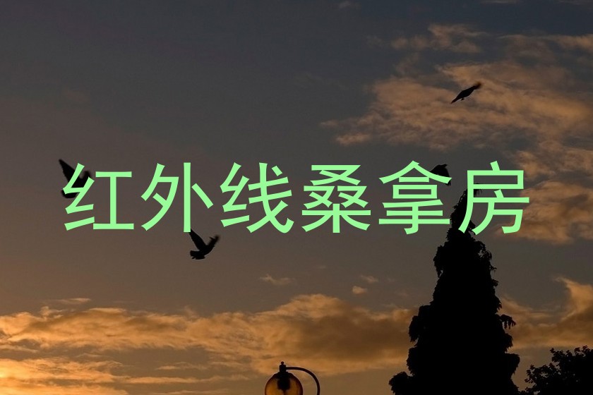 红外线桑拿房