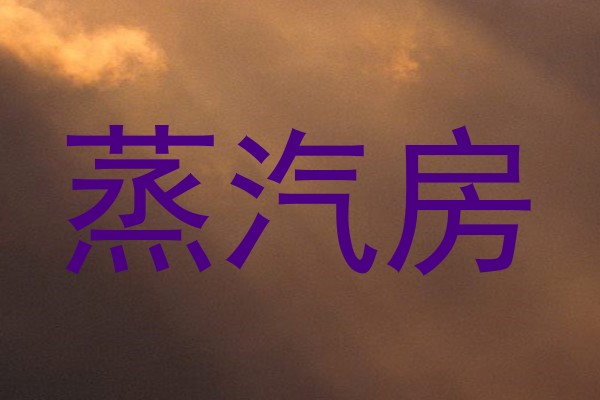 蒸汽房