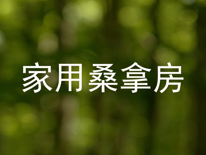 家用桑拿房