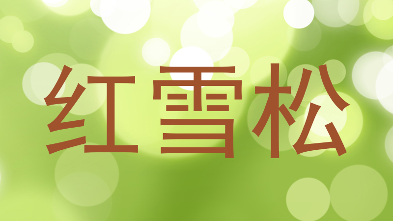 红雪松