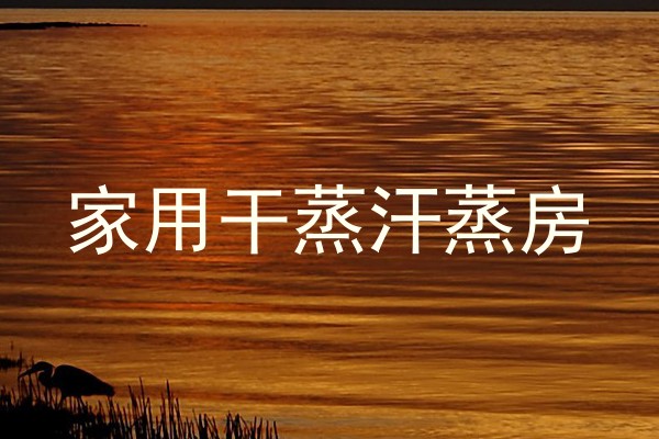 家用干蒸汗蒸房