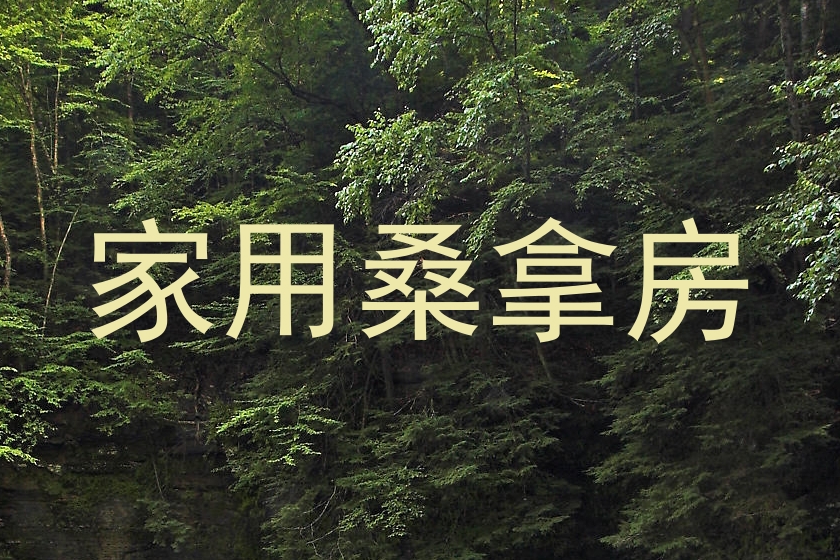 家用桑拿房