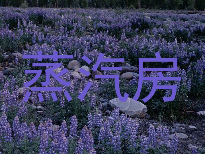 蒸汽房
