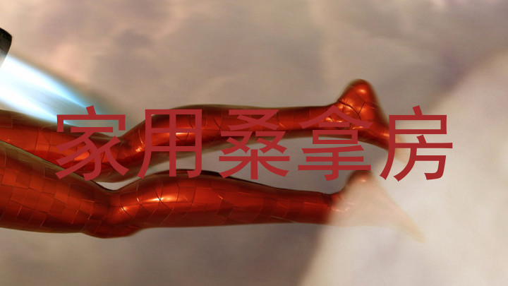 家用桑拿房