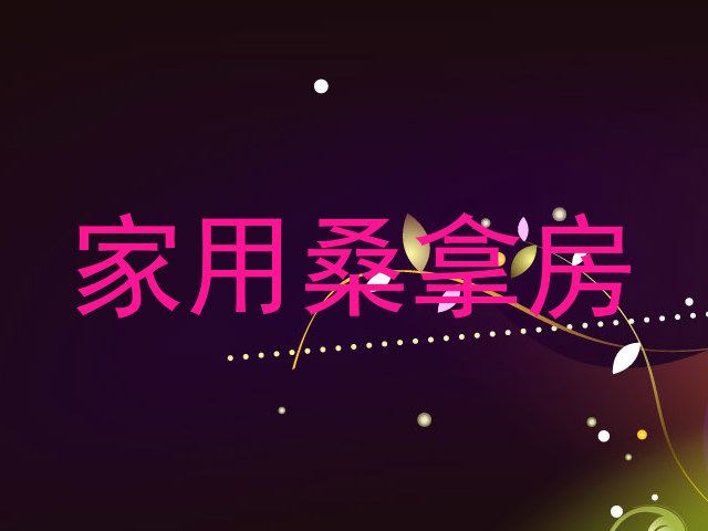 家用桑拿房