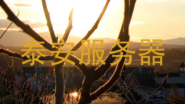 泰安服务器