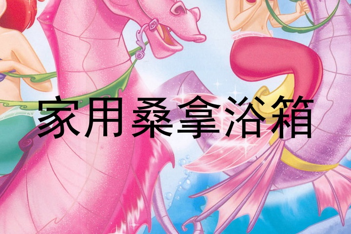 家用桑拿浴箱