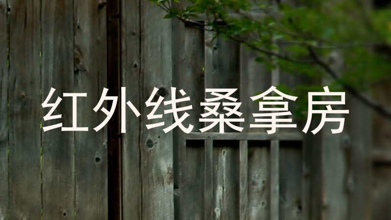 红外线桑拿房