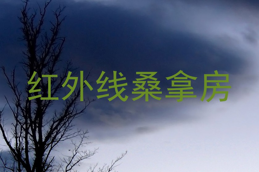 红外线桑拿房