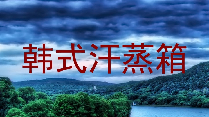 韩式汗蒸箱