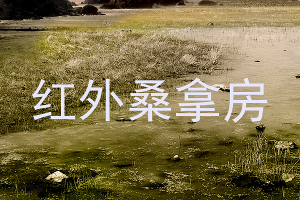红外桑拿房