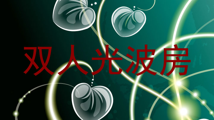 双人光波房