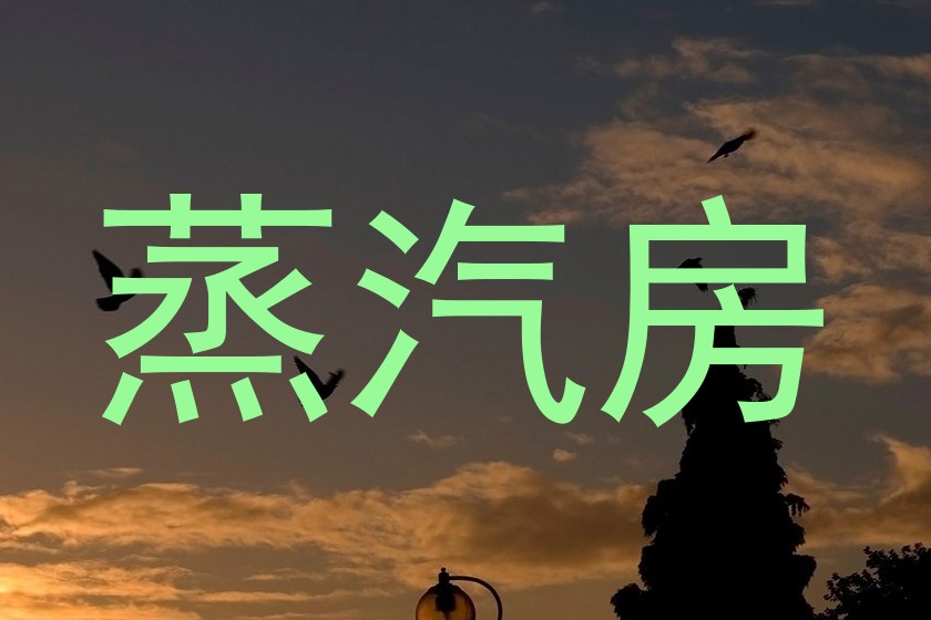 蒸汽房