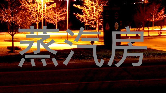 蒸汽房