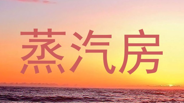 蒸汽房