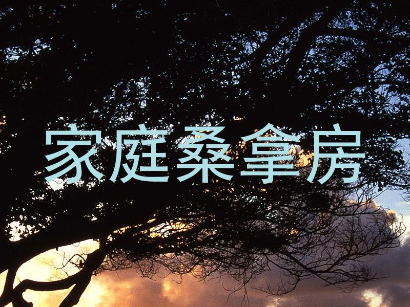 家庭桑拿房