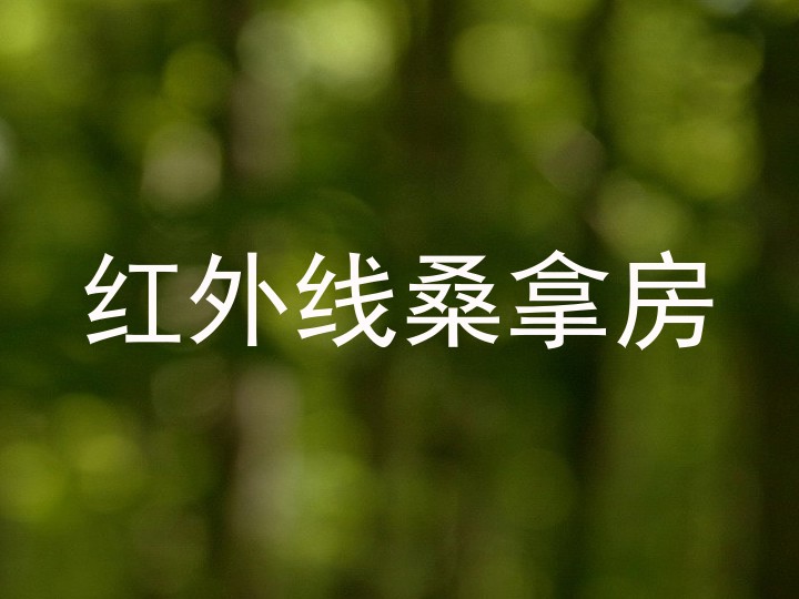 红外线桑拿房