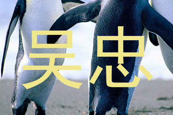 吴忠