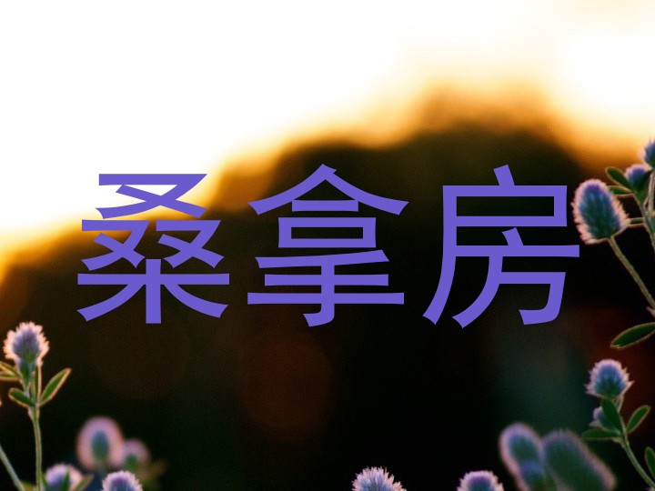 桑拿房