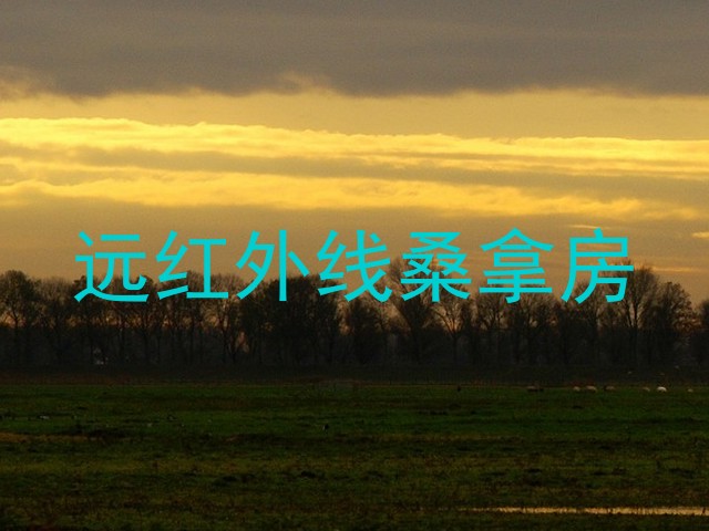 远红外线桑拿房
