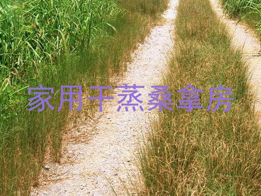 家用干蒸桑拿房