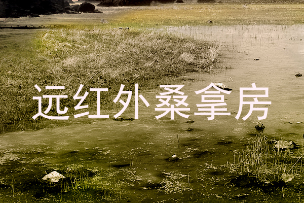 远红外桑拿房