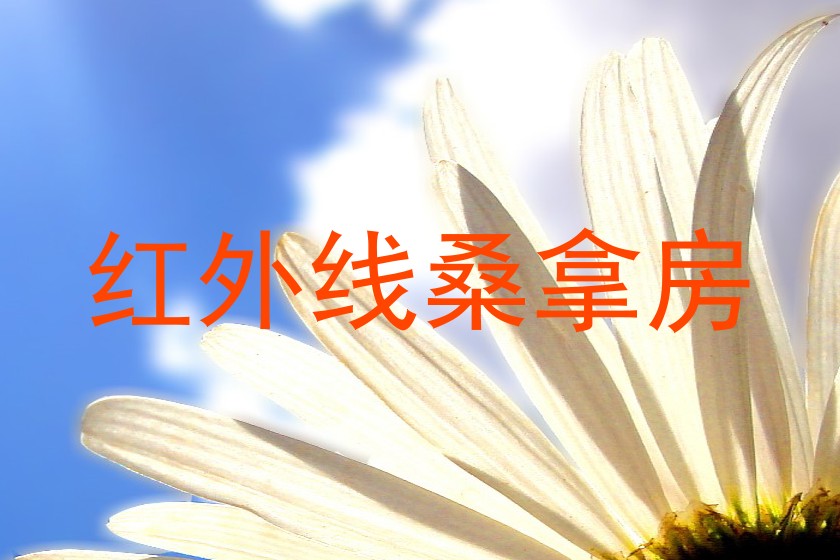 红外线桑拿房